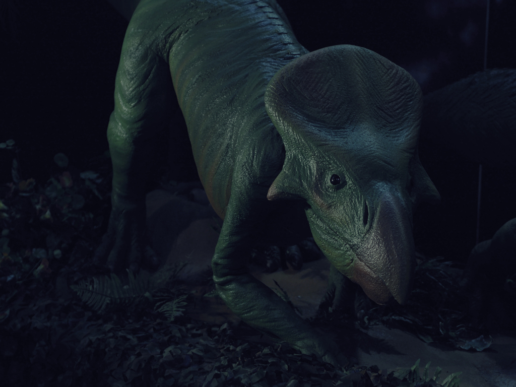 Protoceratops