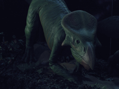 Protoceratops