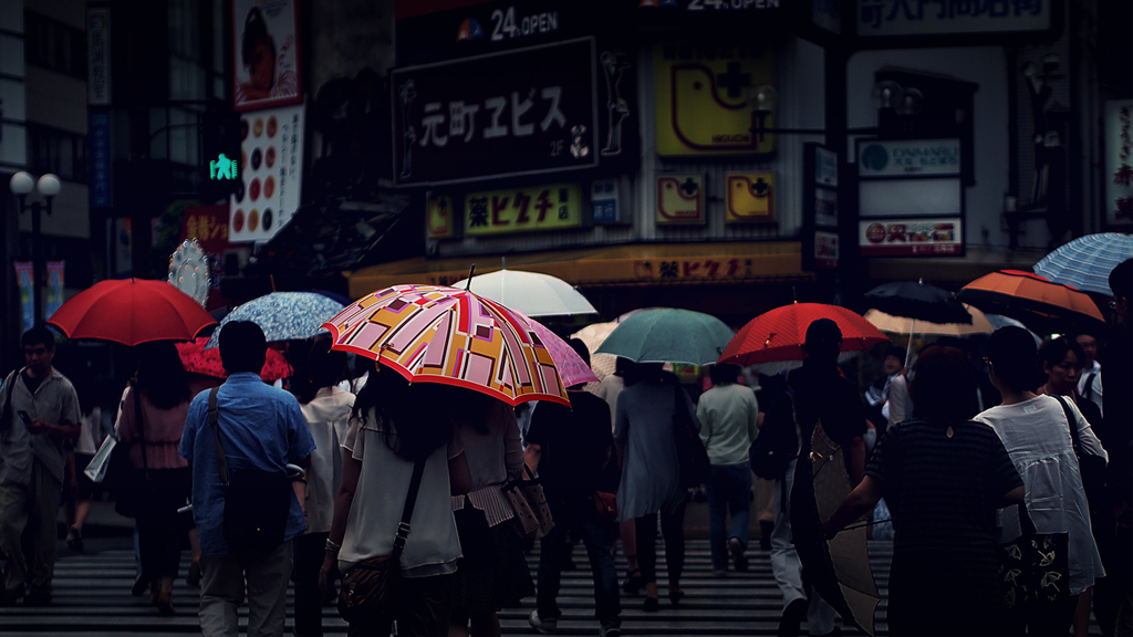 雨に咲く