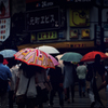雨に咲く