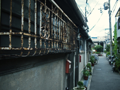 Nagata #8