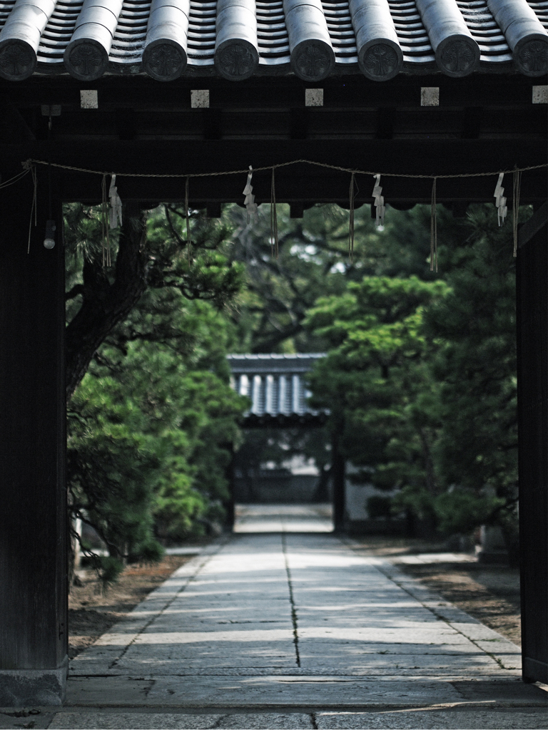 Takasago #11