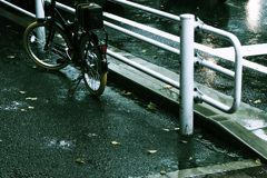 秋雨