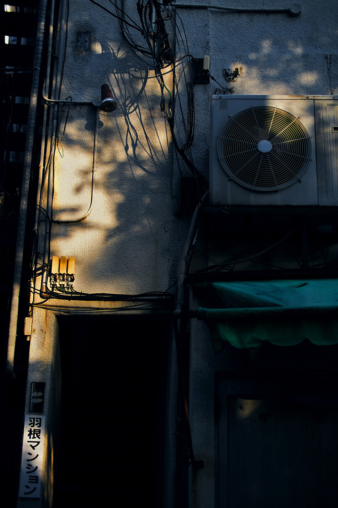 京都にて #12