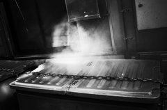 Steam