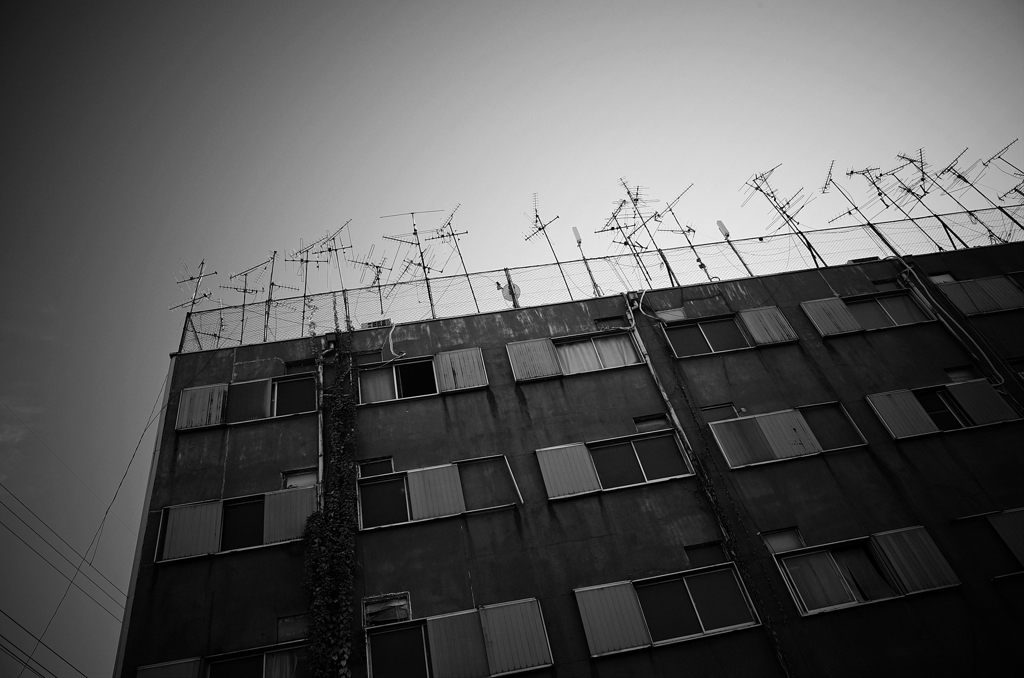 西成 ＃16