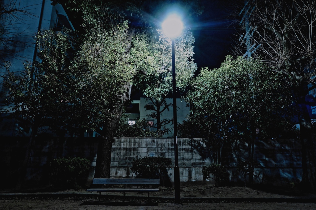 The Park 02