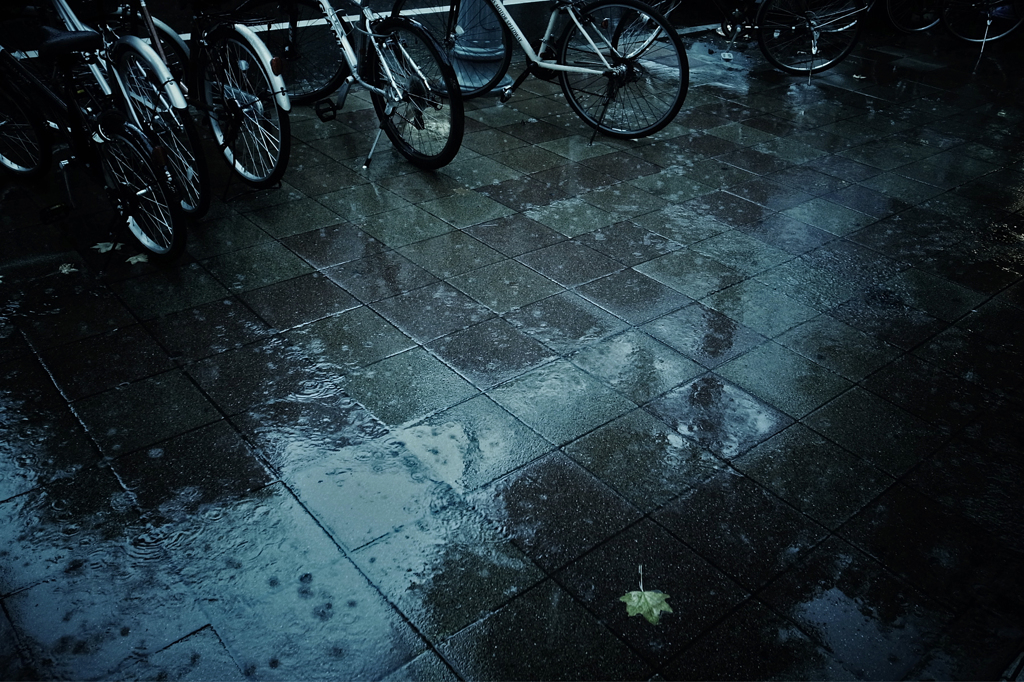 Rainy day #3