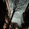 Kobe at night #22