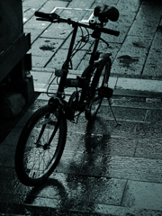 雨にうたれて
