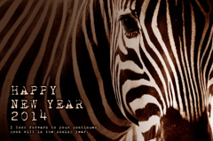 Happy New Year