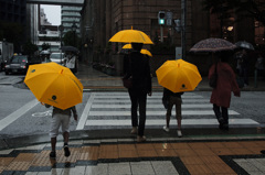 黄色い傘