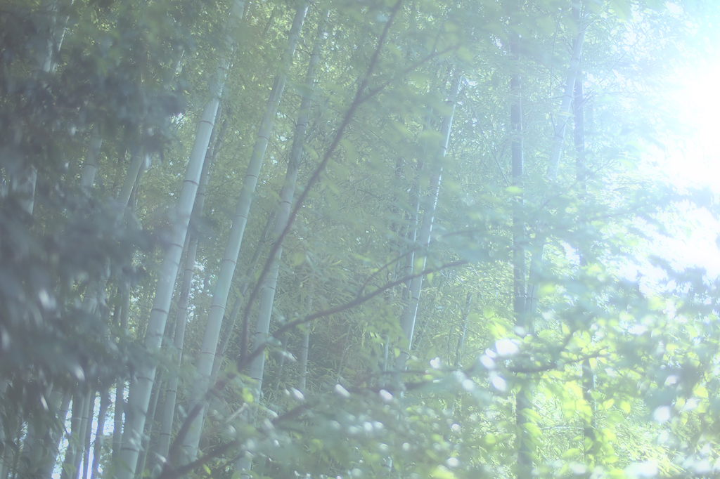 京都にて #10