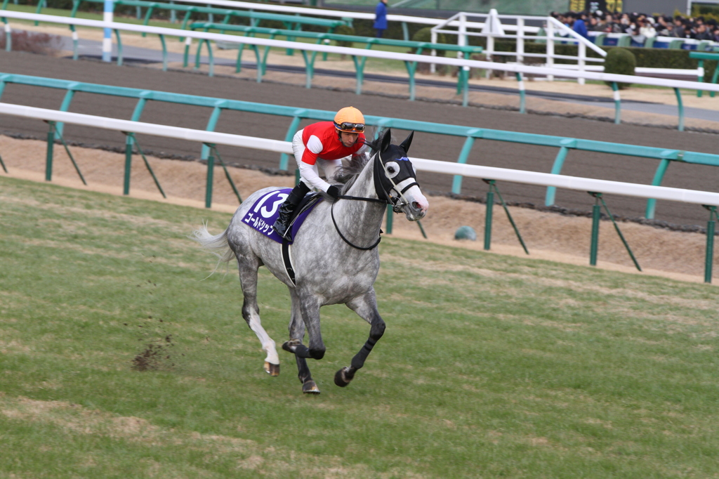 ゴールドシップ　2012　有馬記念