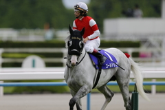 ゴールドシップ　2015　天皇賞春