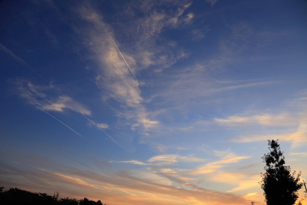 ある日の空