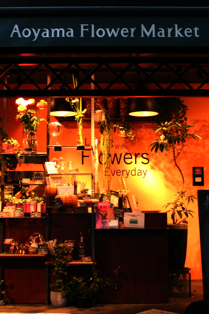 Flowers Everyday