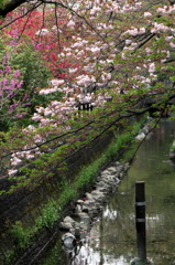 街の用水路