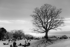 吾妻山公園