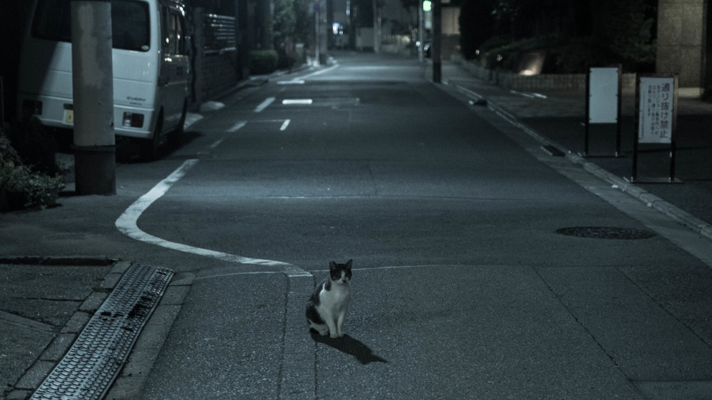 notitled