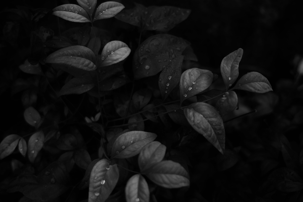 notitled