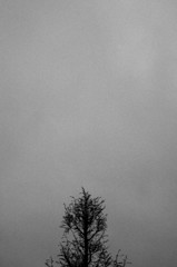 notitled
