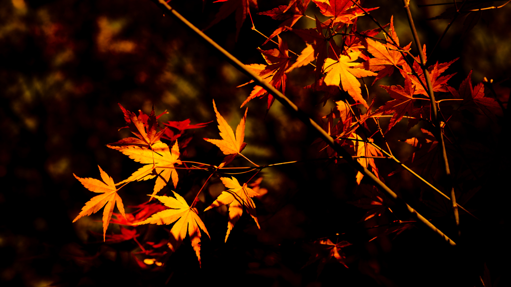notitled