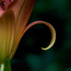 notitled
