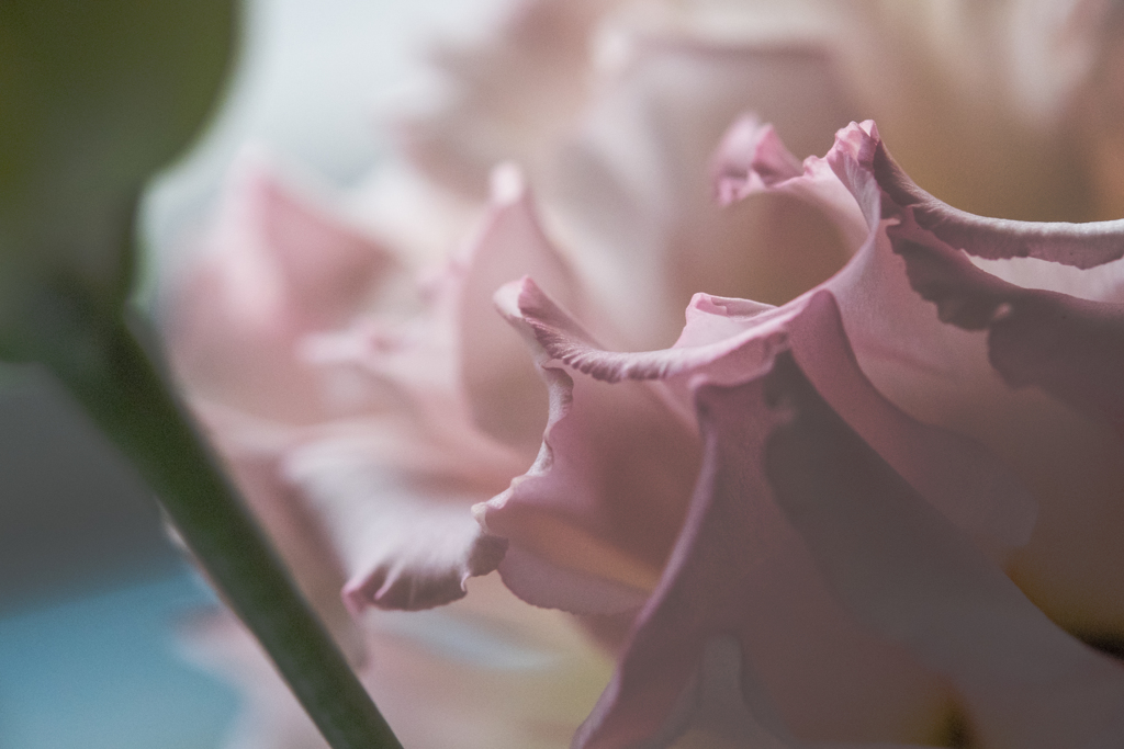 notitled