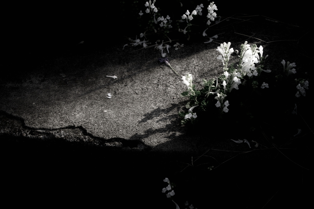 notitled