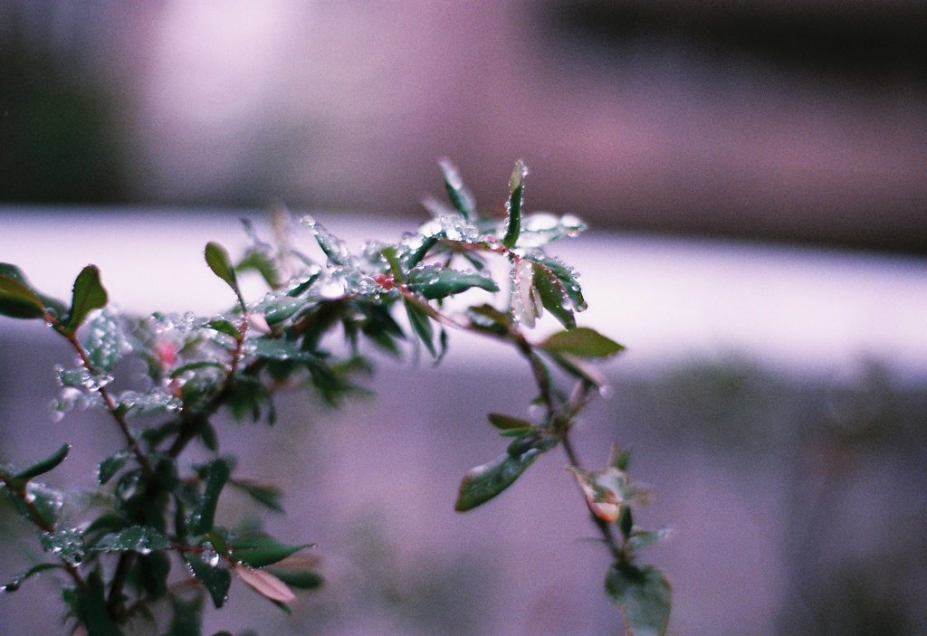 notitled