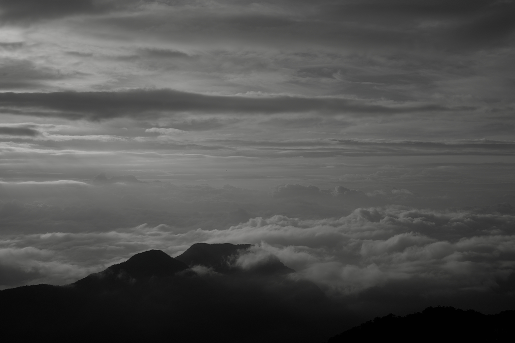 notitled