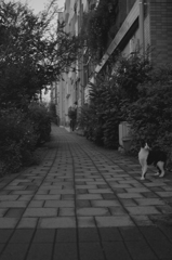 notitled