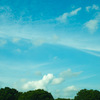 notitled