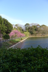 P1010041