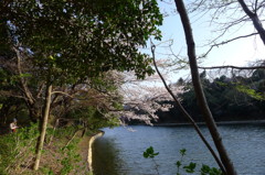 P1010051