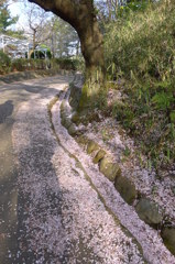 P1010049