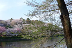 P1010046