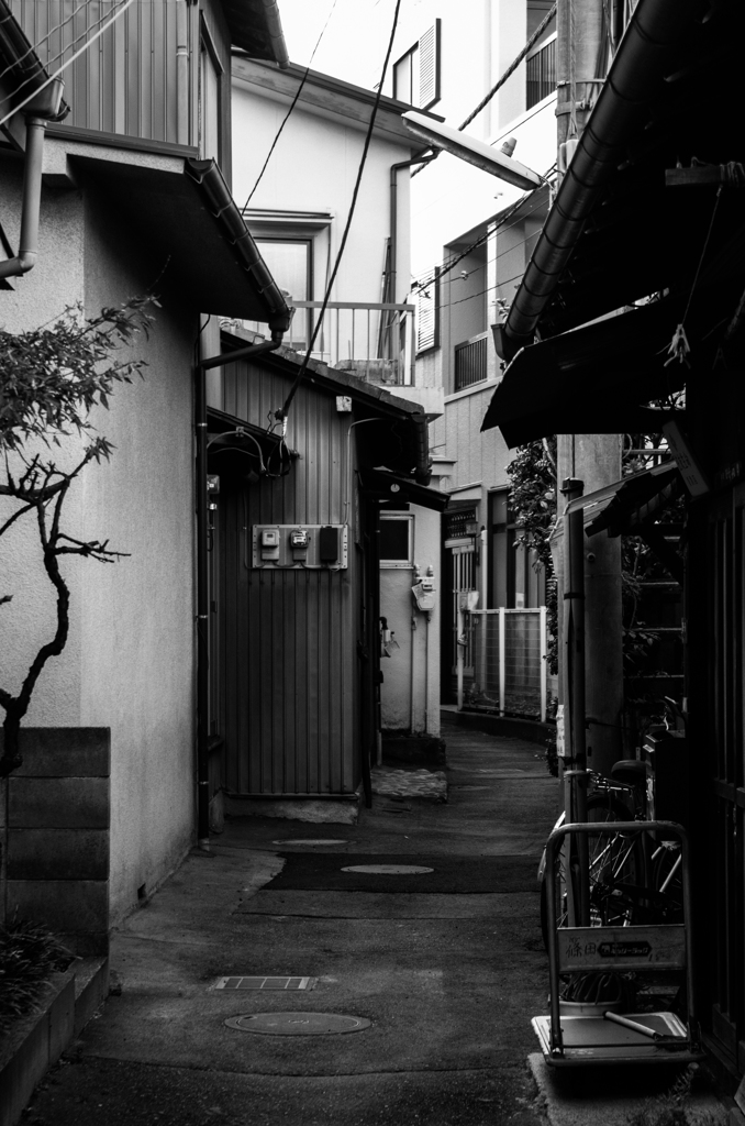 懐旧路地