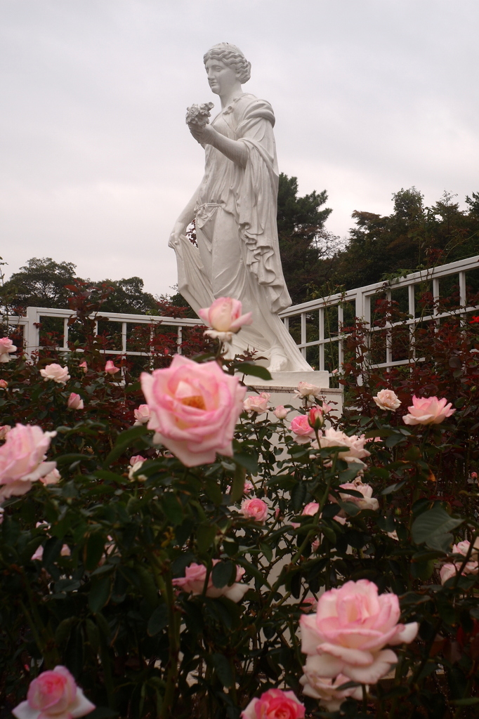  D.Zuiko 28mm/f3.5の描写・秋のバラ園にて②