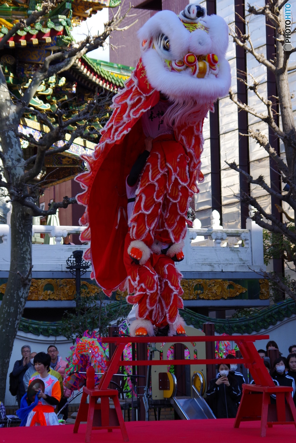 獅子舞の妙技１