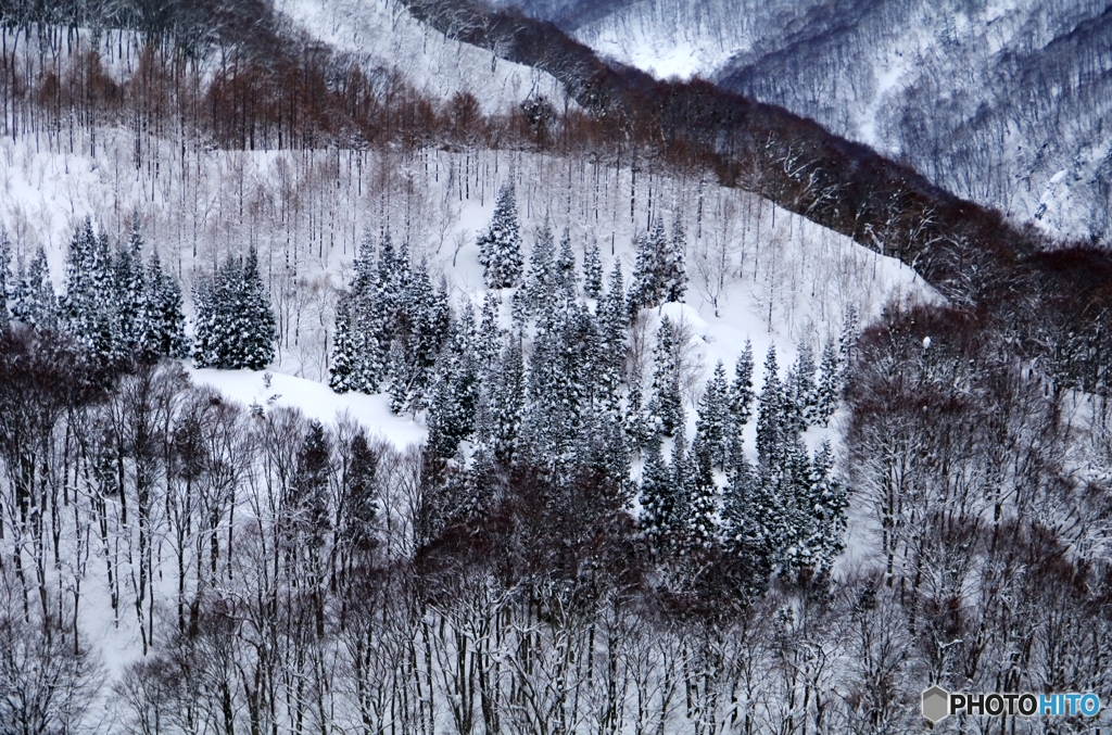 厳寒の八甲田山系１