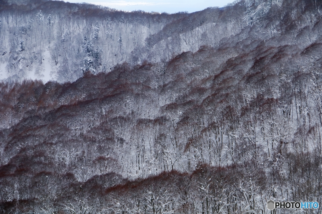 厳寒の八甲田山系３