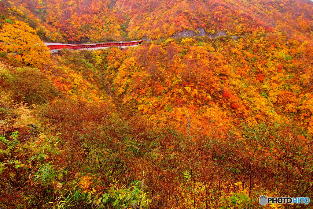 樹海ラインの紅葉 奥只見 ２ By Neko96 Id 写真共有サイト Photohito