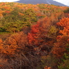 紅葉真っ盛り１