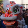 華麗な獅子舞