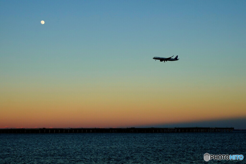 夕暮れの飛び立ち２