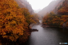 霧の奥只見湖１