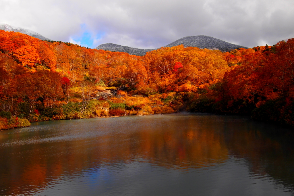 八甲田地獄沼の紅葉