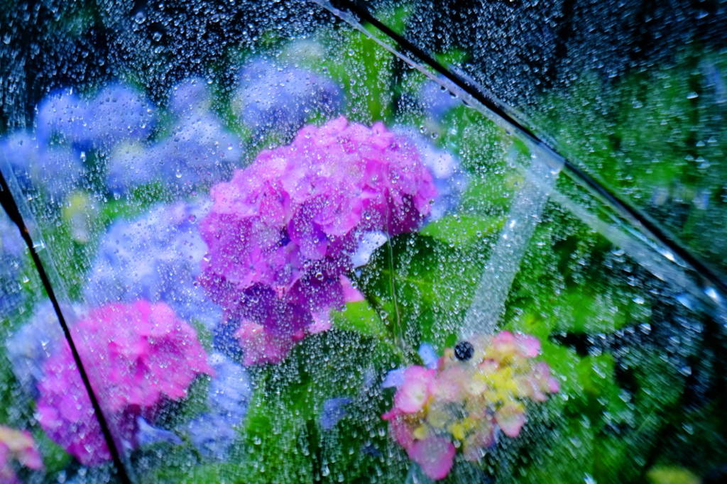 梅雨の日に2